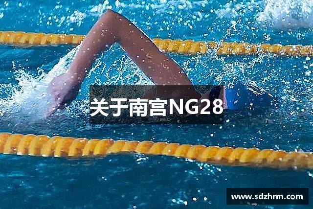 关于南宫NG28